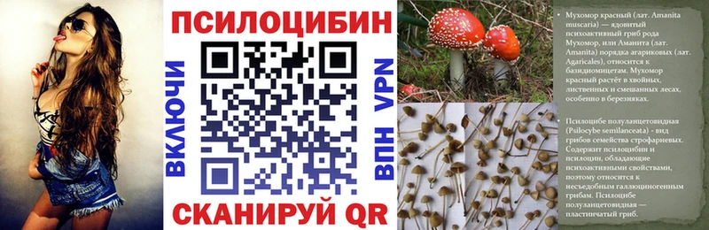 Галлюциногенные грибы Psilocybine cubensis  Райчихинск 